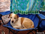 DSC06221.JPG