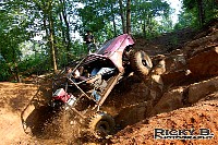 DSC_0339.jpg