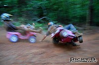 DSC_0393.jpg