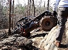 dsc00066vi.jpg