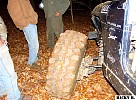 dsc02672.jpg