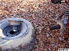 dsc02678.jpg